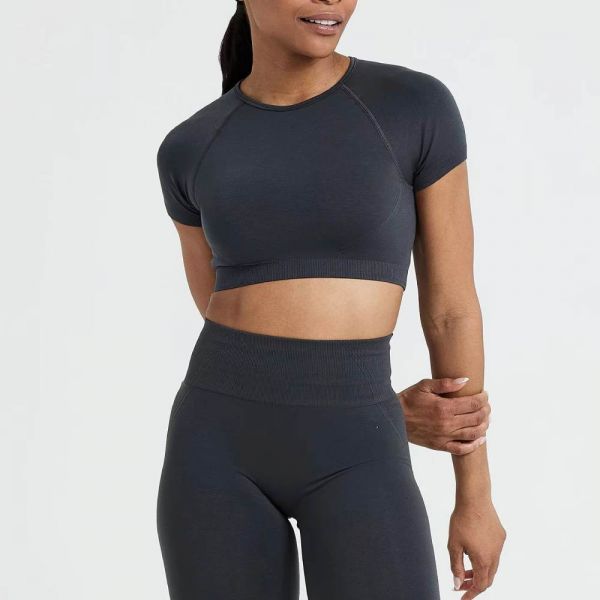 Womens Breathable Quick Dry Crew Neck Shirt Seamless Lightweight Manufacturers, Suppliers in Texas